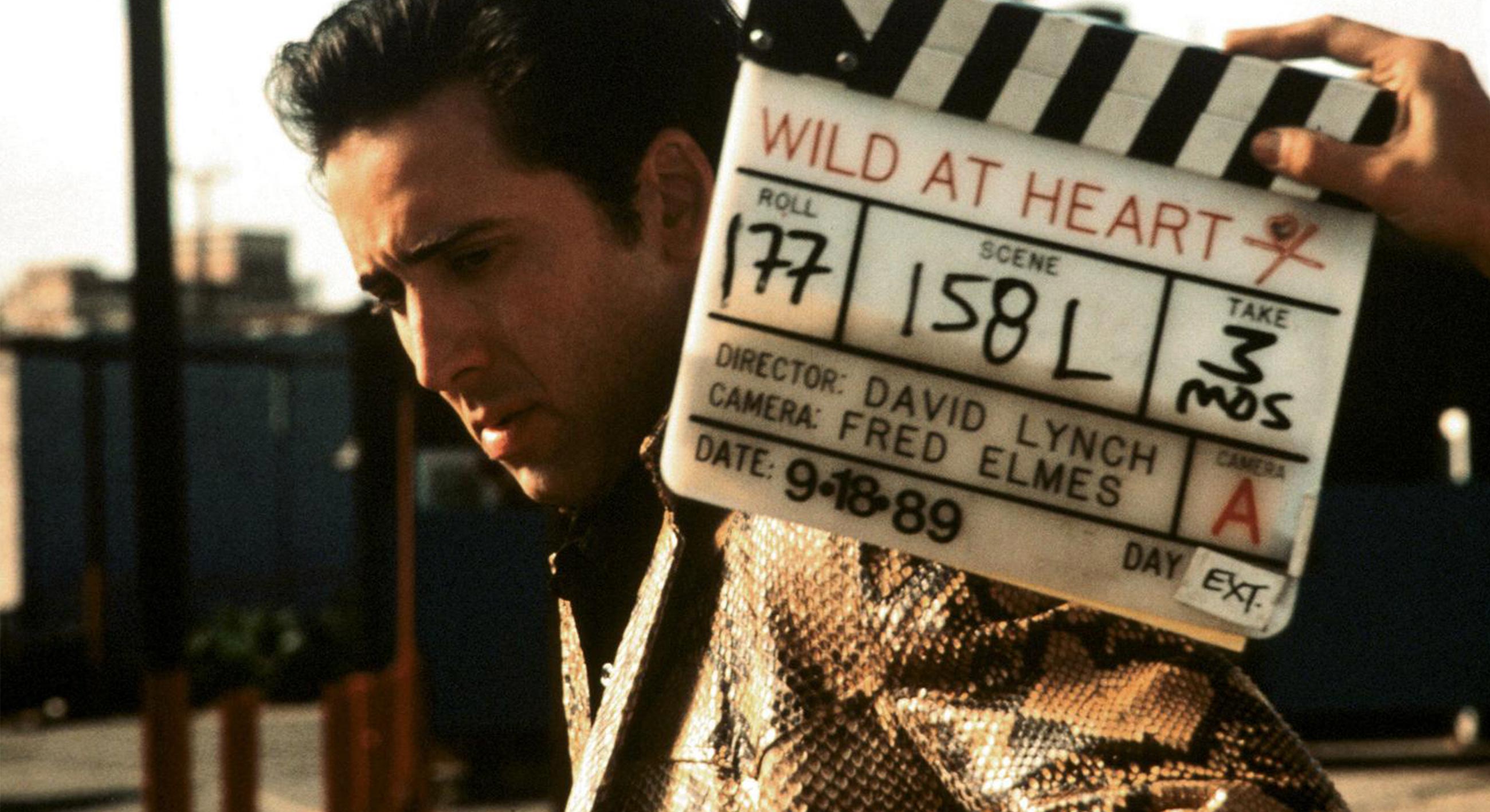 David Lynch TV still image from Wild at Heart