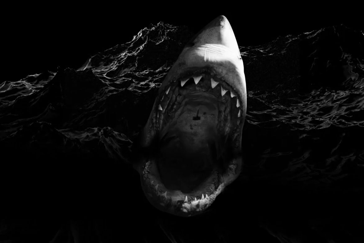 Shark video for 512w22 by Vornado